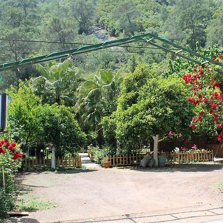 Oran Pansiyon Agac Evler Otel Çıralı Dış mekan fotoğraf