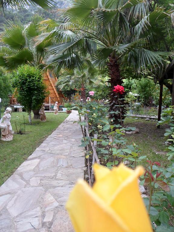 Oran Pansiyon Agac Evler Otel Çıralı Dış mekan fotoğraf