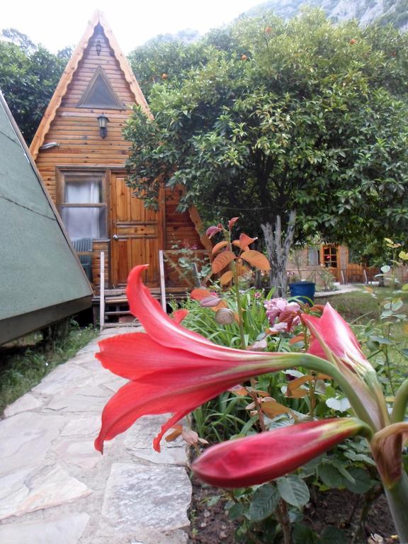 Oran Pansiyon Agac Evler Otel Çıralı Dış mekan fotoğraf